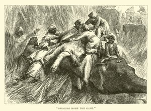 Bringing Home the Game by American School