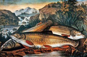 Brook Trout- Just Caught, Published by Currier & Ives, c.1870