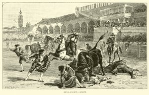Bull-fight, Spain by American School