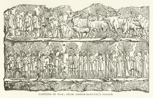 Captives of War from Asshur-bani-pal