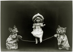 Cat curiosity, 1891 by American School