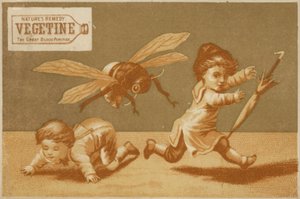 Children Being Chased By Bee by American School