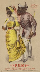 Chimpanzees in Clothes by American School