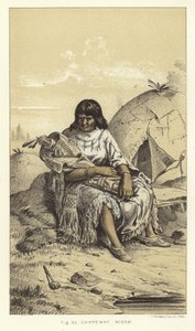 Chippewa Widow by American School