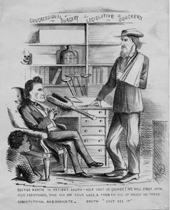 Congressional surgery: legislative quackery by American School