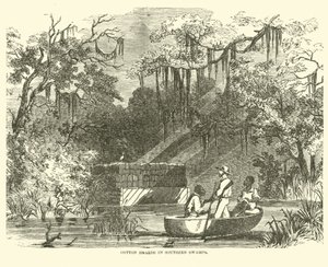 Cotton hoards in Southern Swamps, July 1862