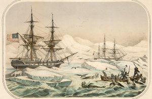 Crew of a Whaling Ship Being Attacked by Walrus by American School