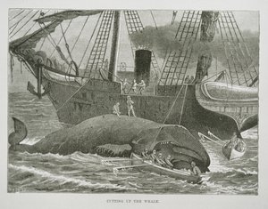 Cutting up the Whale, from The American Whale Fishery by American School