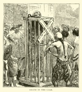 Death in the cage by American School