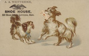Dog Holding Letter in Mouth by American School