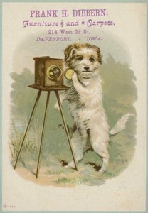 Dog with a Camera