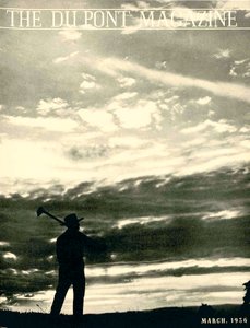 Farmer in Field by American School