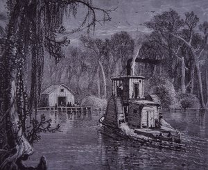 Florida Everglades Scene