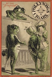 Frogs Getting Married at the Station