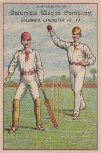 Game of cricket by American School