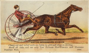 Gentleman Horse-Driving Very Fast by American School