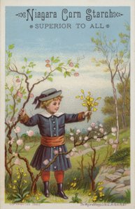 Girl Holding Bunch of Flowers in Countryside