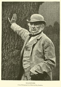 Gladstone by American School