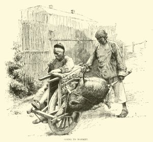 Going to market