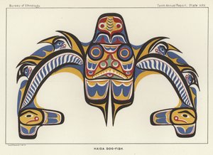 Haida Dog-Fish