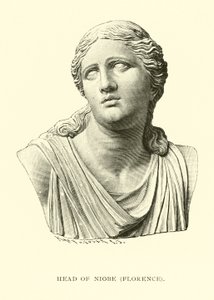 Head of Niobe, Florence by American School