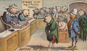 Hog in Court