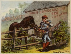 Horse and Boy Eating Apples by American School