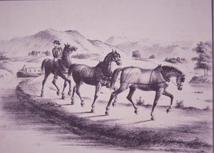 Horses Pulling a Canal Boat on Erie Canal by American School