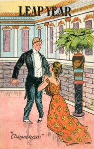 Leap Year Proposal by American School
