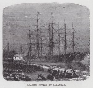 Loading Cotton at Savannah