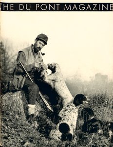 Man with Hunting Dogs