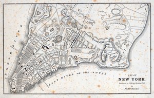 Map of New York by American School