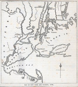 Map of New York and the Vicinity