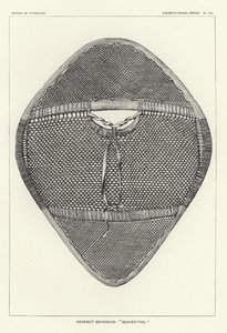 Nenenot Snowshoe - Beaver-Tail by American School