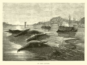 On the Ganges by American School