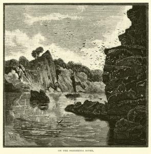 On the Neirhedda River by American School