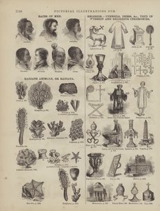 Page from Webster