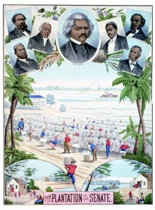 Plantations in the Senate: illustration depicting black workers in cotton plantations and black senators in the southern United States. by American School