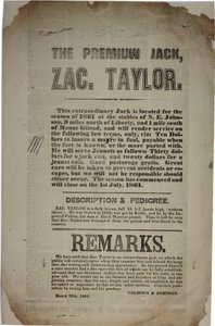 Proceedings and Address of the Constitutional Convention, c.19th March 1861 by American School