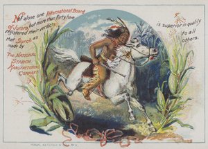 Red Indian on horseback