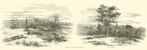 Scenes on the Field After the Battle, September 1862 by American School