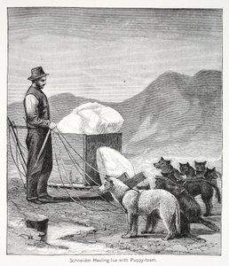 Schneider Hauling Ice with the Puppy-Team, London 1886 by American School
