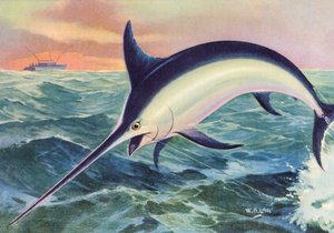 Sport Fishing: Leaping Swordfish by American School