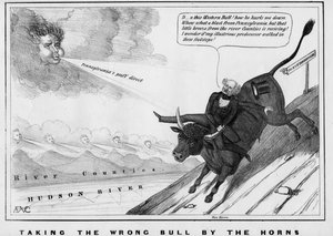 Taking the Wrong Bull by the Horns by American School
