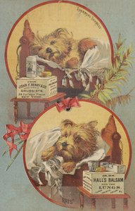 Terrier Dog in Bed by American School