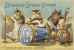 The Cat Band by American School