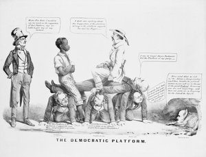 The Democratic Platform (political cartoon commenting on the Democratic party