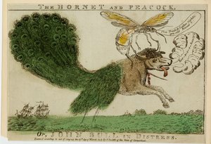 The Hornet and Peacock, or, John Bull in distress