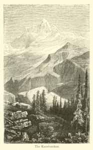 The Kaurisankar