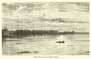 The Orinoco at high water by American School